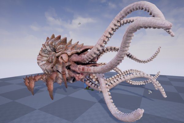 Kraken mirror